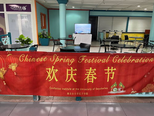 感受中国文化 多国举办春节主题庆祝活动
